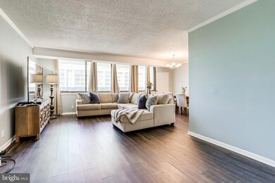 5501 Seminary Rd unit 2213S, Baileys Crossroads, VA 22041 - photo 3