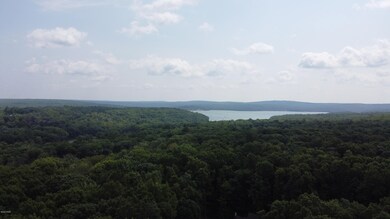 1074 Acacia Dr, Paupack Township, PA 18428 - photo 4