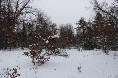 VL S Good Rd, Alger, MI 48610 - photo 2