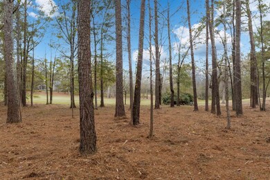 164 Hopeton Ln, Eatonton, GA 31024 - photo 6