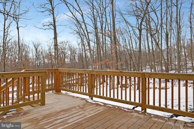 139 Geronimo Trail, Winchester, VA 22602 - photo 4