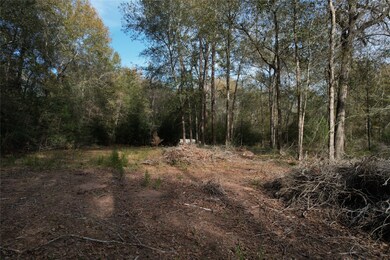 30602 Kate Dr, Magnolia, TX 77355 - photo 4