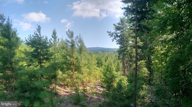 LOT 2D Venus Branch Rd, Shenandoah, VA 22630 - photo 3