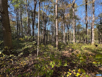 Lot E, TM 24-30 W Hoover Rd, Reva, VA 22735 - photo 6