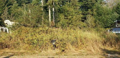 209 XX Lake Riley Rd, Arlington, WA 98223 - photo 7