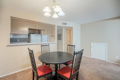 Kitchen Open to Living