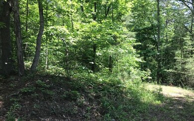 0 Toccoa River Forest unit 278490, Mineral Bluff, GA 30559 - photo 3