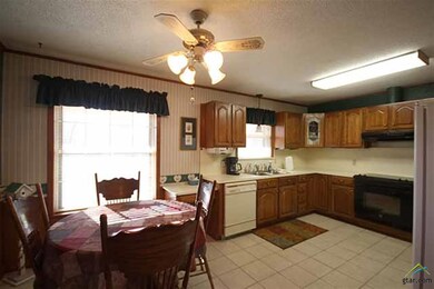 10719 County Road 2206, Tyler, TX 75707 - photo 4