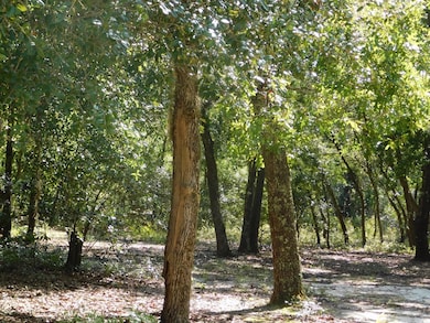 239 River Moss Rd, Reidsville, GA 30453 - photo 2