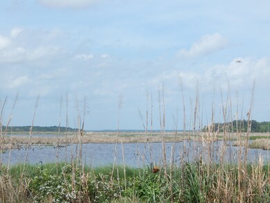 DSCN0931