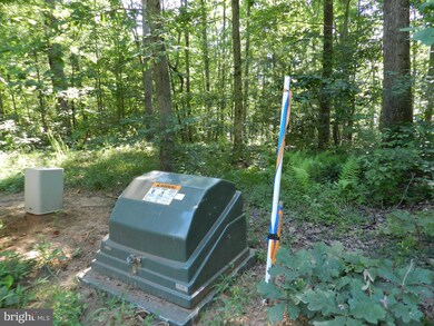 4 Hart, Culpeper, VA 22701 - photo 4