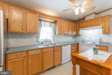 409 White Sands Dr, Media, PA 19063 - photo 5