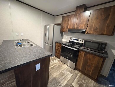 308 S Main St, Iuka, IL 62849 - photo 6