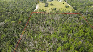 TBD Strickland Landing Dr, Perry, FL 32348 - photo 5