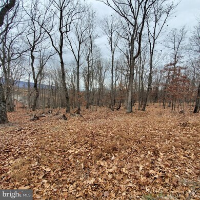 1409 Tabor Rd, Berkeley Springs, WV 25411 - photo 4