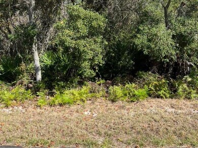 Buildable lot view