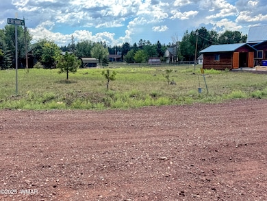 103 W Skyhawk Rd, Pinetop, AZ 85935 - photo 3