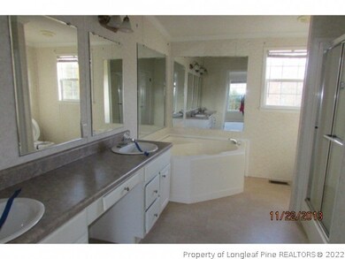 Master bath with garden tub