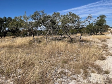 Tract 15 Rare Eagle Dr unit 15, Fredericksburg, TX 78624 - photo 5