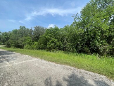 35054 Oak Forest Dr, Whitney, TX 76692 - photo 4