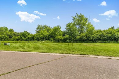 217 Appaloosa Ct, Braham, MN 55006 - photo 4