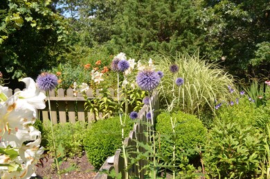 239 Massachusetts Ave, Oak Bluffs, MA 02557 - photo 7