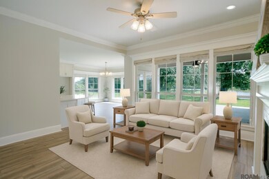 12214 Deventer Dr, Geismar, LA 70734 - photo 6