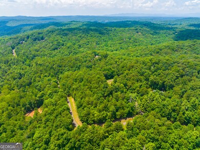 Lot 104 Mountain Creek Hollow Dr, Talking Rock, GA 30175 - photo 4