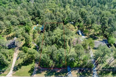 113 Ridgewood, Magnolia, TX 77355 - photo 2