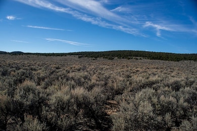 0 Sangre de Cristo Ranch unit H Blk 100 Lot 4, Fort  Garland, CO 81133 - photo 7