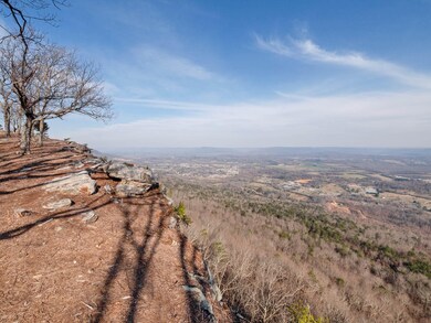 0 Hovering Hawk Dr unit RTC2912805, Jasper, TN 37347 - photo 5