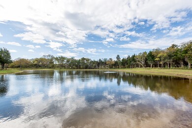 View Across West Pond At Nora's Meadow