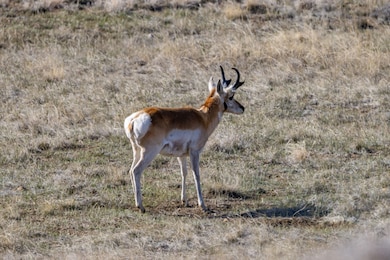 001 Milky Way Rd, Kemmerer, WY 83101 - photo 3