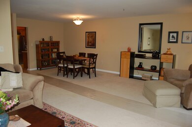 Large open area from Great Rm to Kitchen
