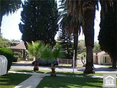 Beautiful Tree Lined Street