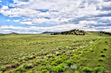 1341 Xtha Trail, Hartsel, CO 80449 - photo 2