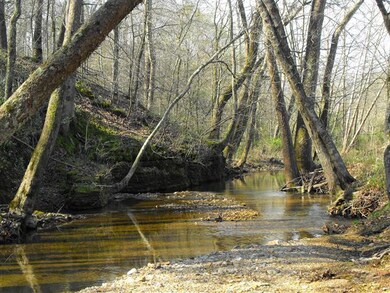 1906 Dancer Branch Rd, Stewart, TN 37175 - photo 3