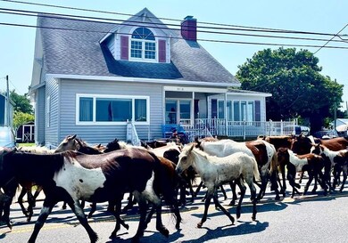 3340 Main St, Chincoteague Island, VA 23336 - photo 2