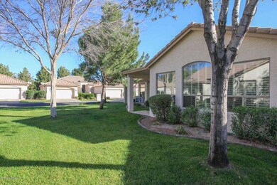 Backyard2