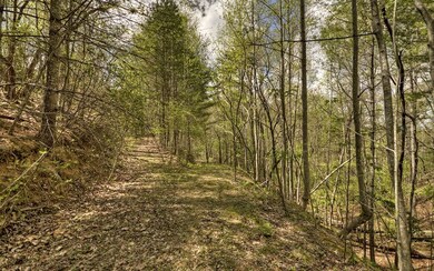 0 Turkey Trot Rd unit 283670, Morganton, GA 30560 - photo 2