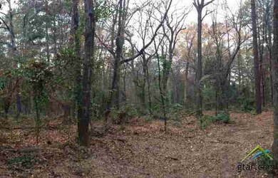 5814 Brixworth Dr, Tyler, TX 75703 - photo 4