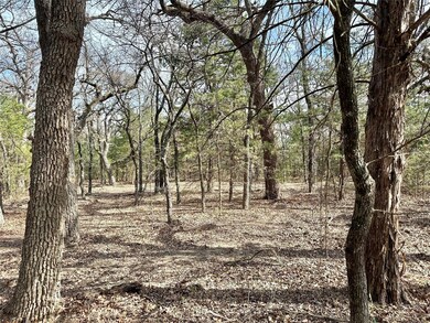 2.26 Acres County Road 262, Gainesville, TX 76240 - photo 4