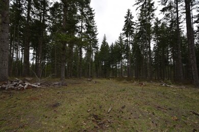 38184 S Hardy Rd, Molalla, OR 97038 - photo 7