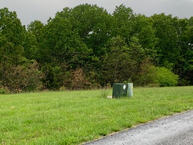 Lot 35a Hidden Springs, Reeds Spring, MO 65737 - photo 4