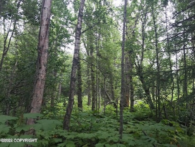 L6 B2 Agate St, Nikiski/North Kenai, AK 99635 - photo 2