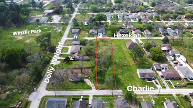 0 Hezekiah St, Houston, TX 77088 - photo 3