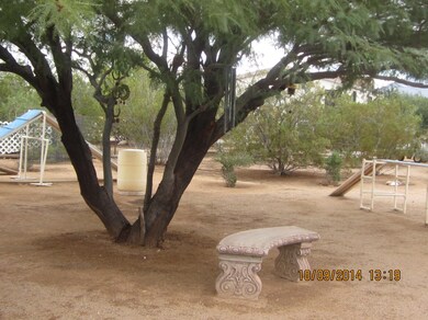 Relaxing Bench by Tree