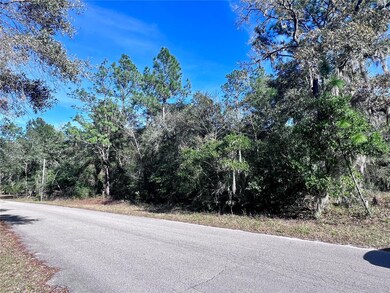 TBD SW 209th Court Rd, Dunnellon, FL 34431 - photo 3