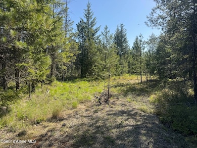 0c2d2042-24b8-4bfc-be16-2fb010c351e0