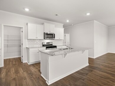 Robie updated kitchen with a large walk in closet with white cabients with crown modling and hardware